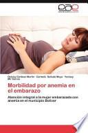 libro Morbilidad Por Anemia En El Embarazo